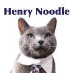 Henry Noodle